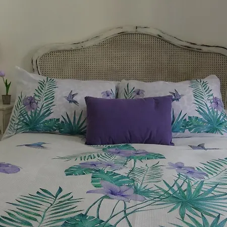 Charming De Gomerez Apartment Granada